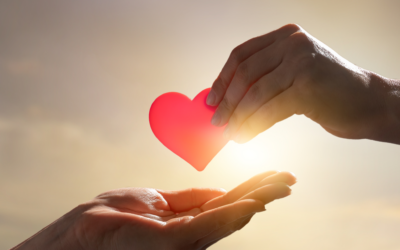 Small Donations, Big Impact!